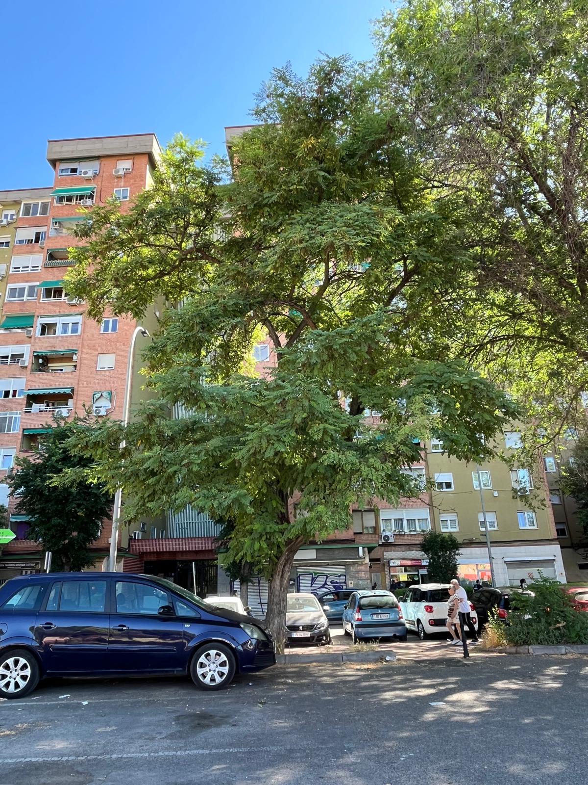 Se vende piso en Alcalá de Henares